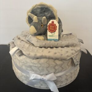 Dino Large 1 Tier Nappy Cake